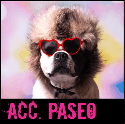 Accesorios para el paseo
