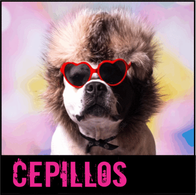 Cepillos