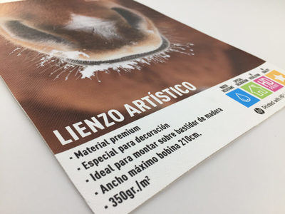 LIENZO ARTÍSTICO