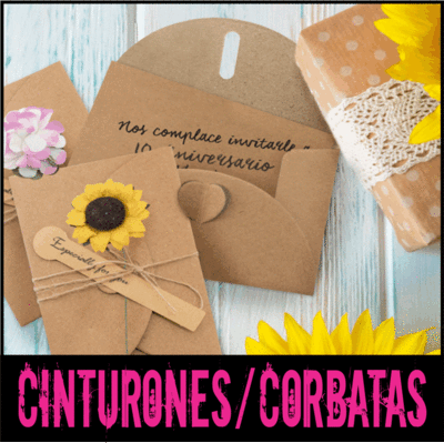Cinturones y corbatas
